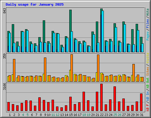 Daily usage for January 2025