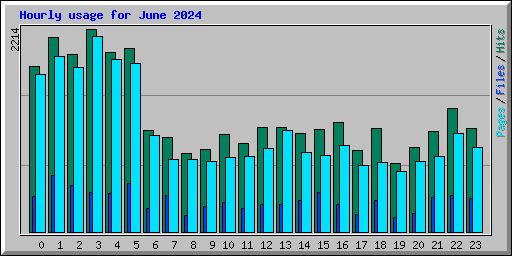 Hourly usage for June 2024