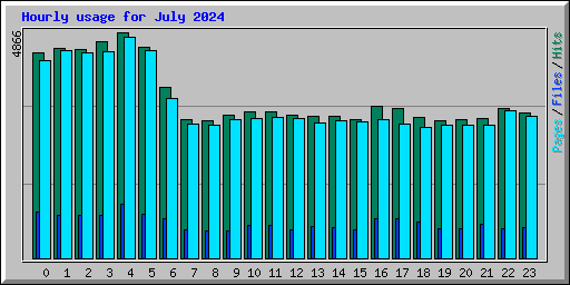 Hourly usage for July 2024