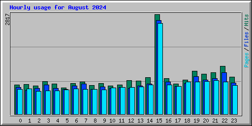 Hourly usage for August 2024