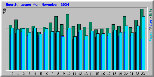 Hourly usage for November 2024