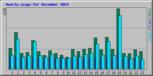 Hourly usage for December 2024