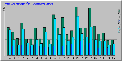 Hourly usage for January 2025